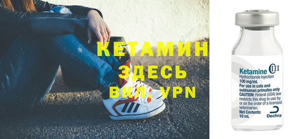 твердый Дмитровск