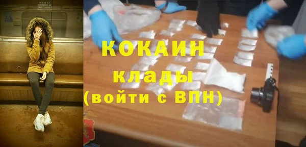 дживик Ельня