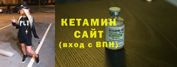 дживик Ельня