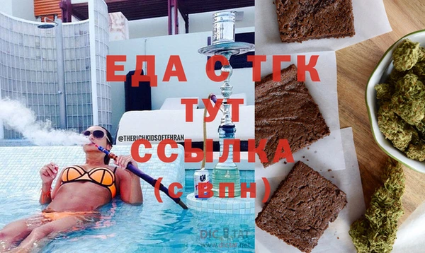 дживик Ельня