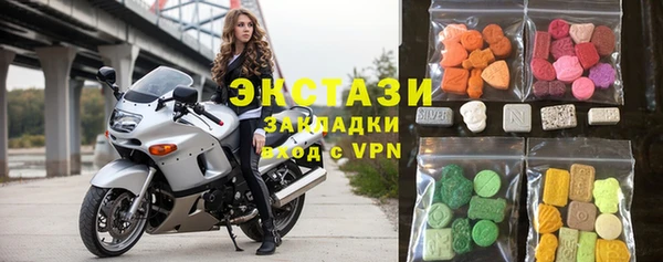 дживик Ельня