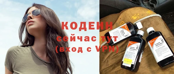 дживик Ельня