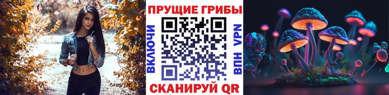 МЕГА ссылка Мытищи Галлюциногенные грибы Cubensis хочу